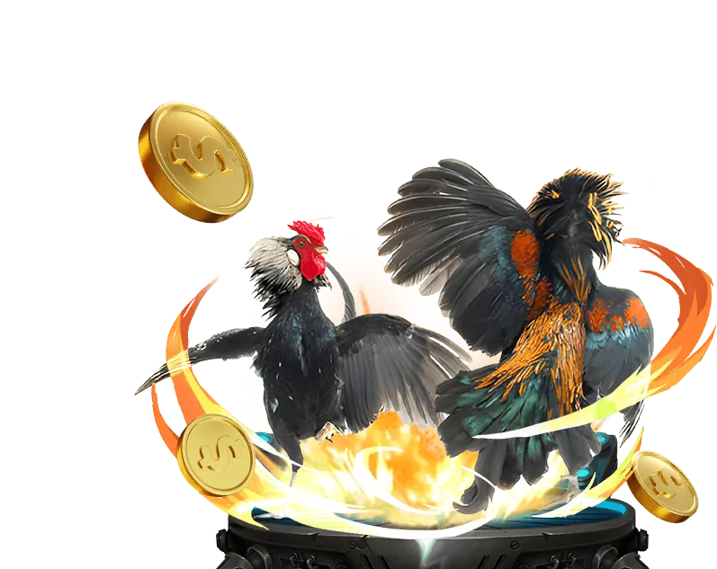 Công nghệ mã hóa dữ liệu SSL cho cá cược đá gà