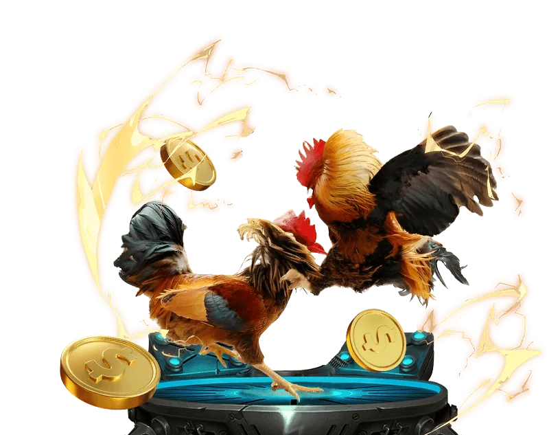 Ứng dụng di động cho cá cược đá gà trực tuyến